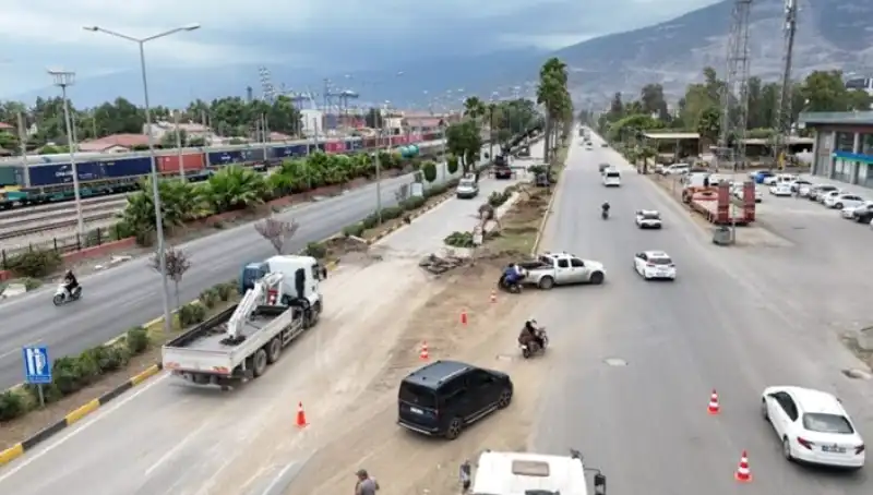 Hatay’da Ağaçlara Yeni Yaşam Alanı