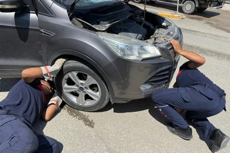 Sokak Hayvanları HBB Ile Güvende