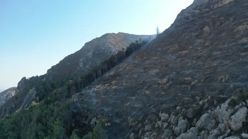 Hatay ‘Antakya Habib-i Neccar  Dağında çıkan Orman Yangını Kontrol Altına Alındı