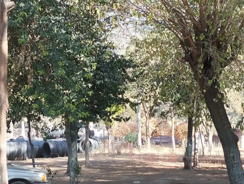 AÇKD: Yeşil Tükenirse, Nesil Tükenir