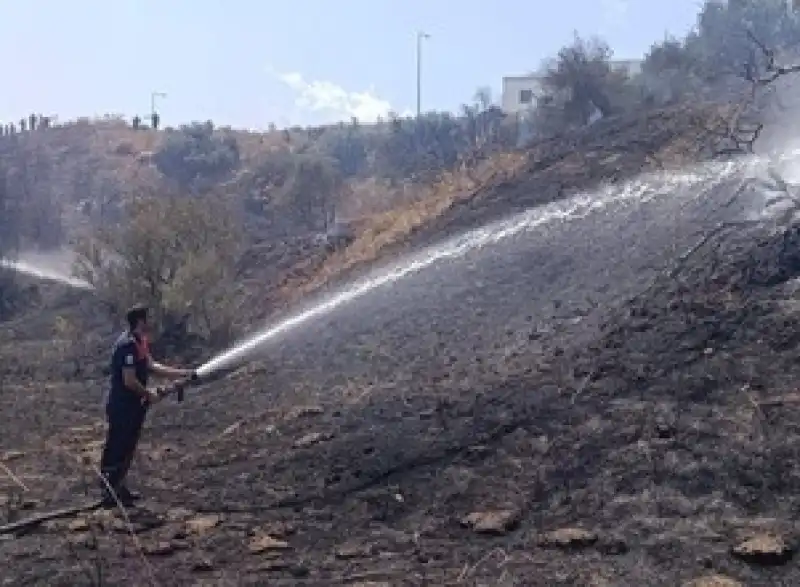 Defne'de Zeytinlik Alanda çıkan Yangın Söndürüldü