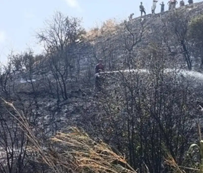 Defne'de Zeytinlik Alanda çıkan Yangın Söndürüldü