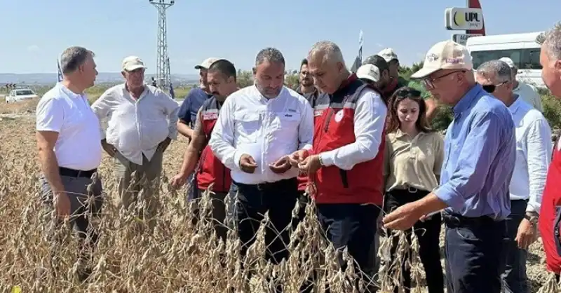 “Tarla Günü”, Tarlada Kutlandı!