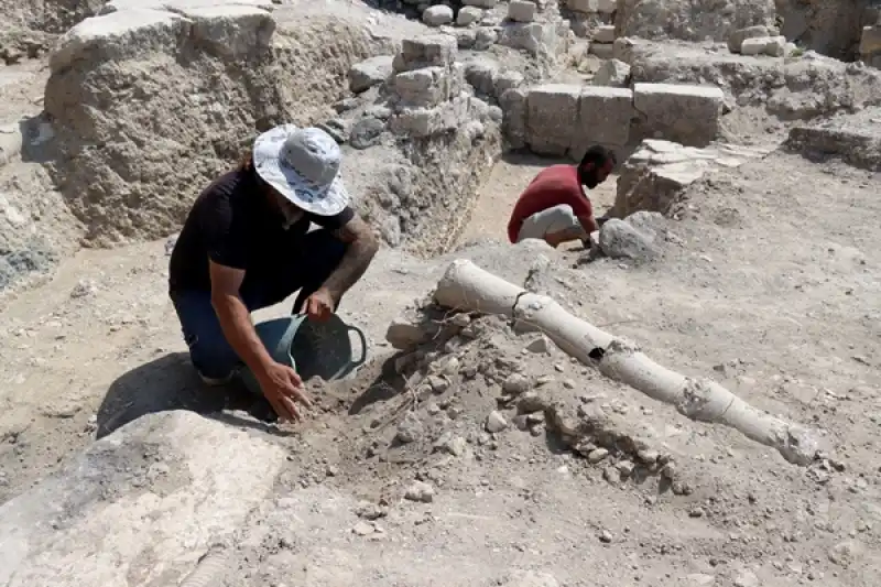 Hatay'da Antiocheia Antik Kenti'nin Ticari Hayatı Gün Yüzüne çıkarılıyor 