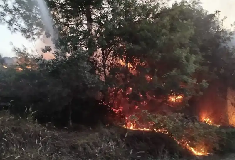 Hatay Dörtyol'da çıkan Orman Yangını Büyümeden Söndürüldü