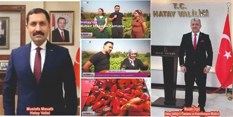 Hatay Global Arenada