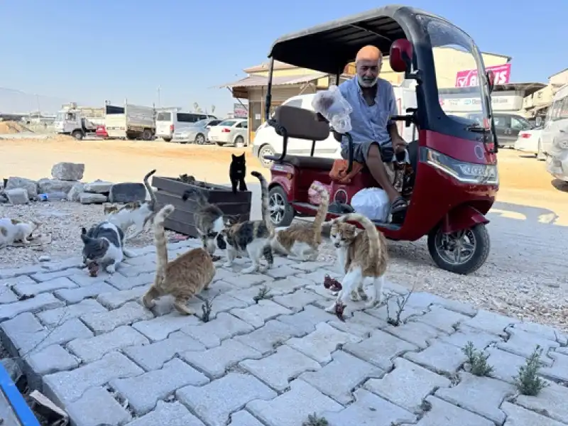 KOAH Hastası Depremzede Oksijen Cihazından Ayrıldığı Saatlerde Sahipsiz Hayvanları Besliyor