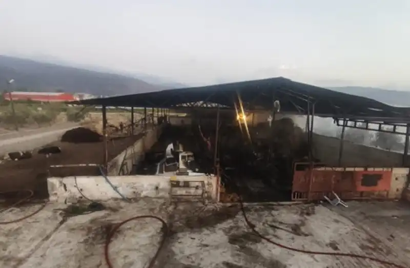 Antakya'da Samanlıkta çıkan Yangın Söndürüldü