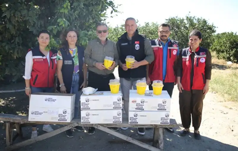 5 Ilçede Narenciye üreticilerine Sinek Tuzağı Dağıtıldı