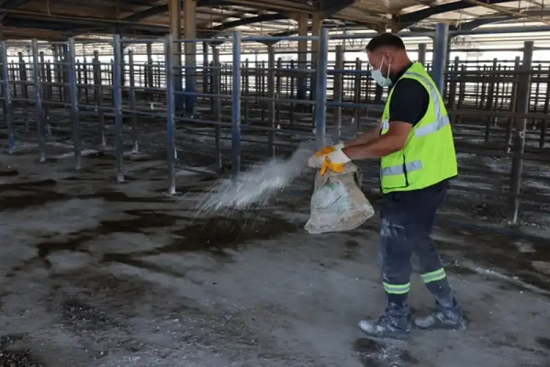 HBB şap Ve üç Gün Hastalığına Karşı Tedbirleri Arttırdı