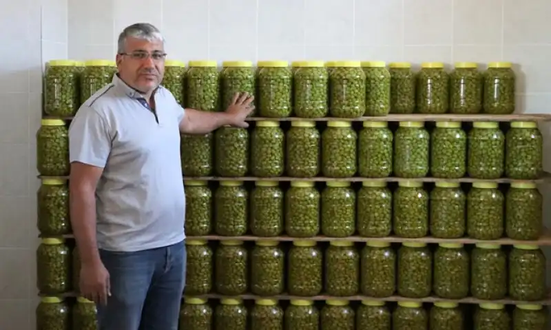 Altınkaya’nın El Emeği Halhalı Kırma Zeytinleri Büyük İlgi Görüyor