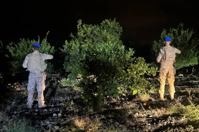 Erzin'de Jandarma Ekipleri Narenciye Bahçelerinde Tedbirlerini Arttırdı