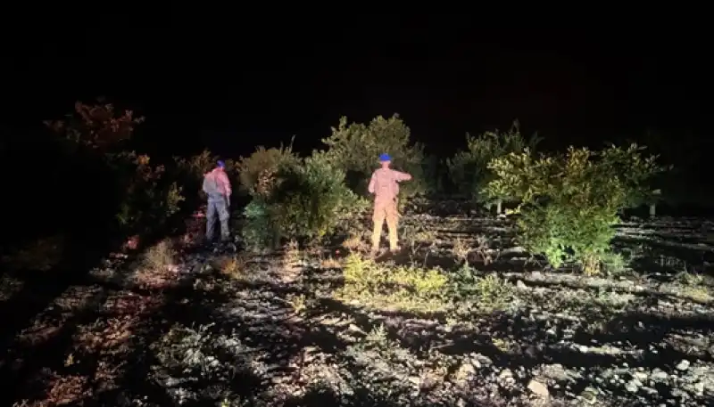 Erzin'de Jandarma Ekipleri Narenciye Bahçelerinde Tedbirlerini Arttırdı