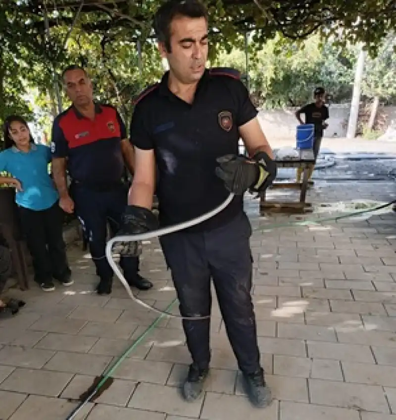 Yerleşim Yerlerine İnen Yılanlar İtfaiye Tarafından Doğaya Salındı