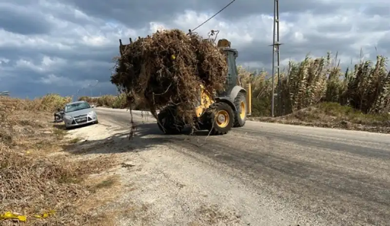Samandağ Sahilinde Su Sümbülleri Temizlendi
