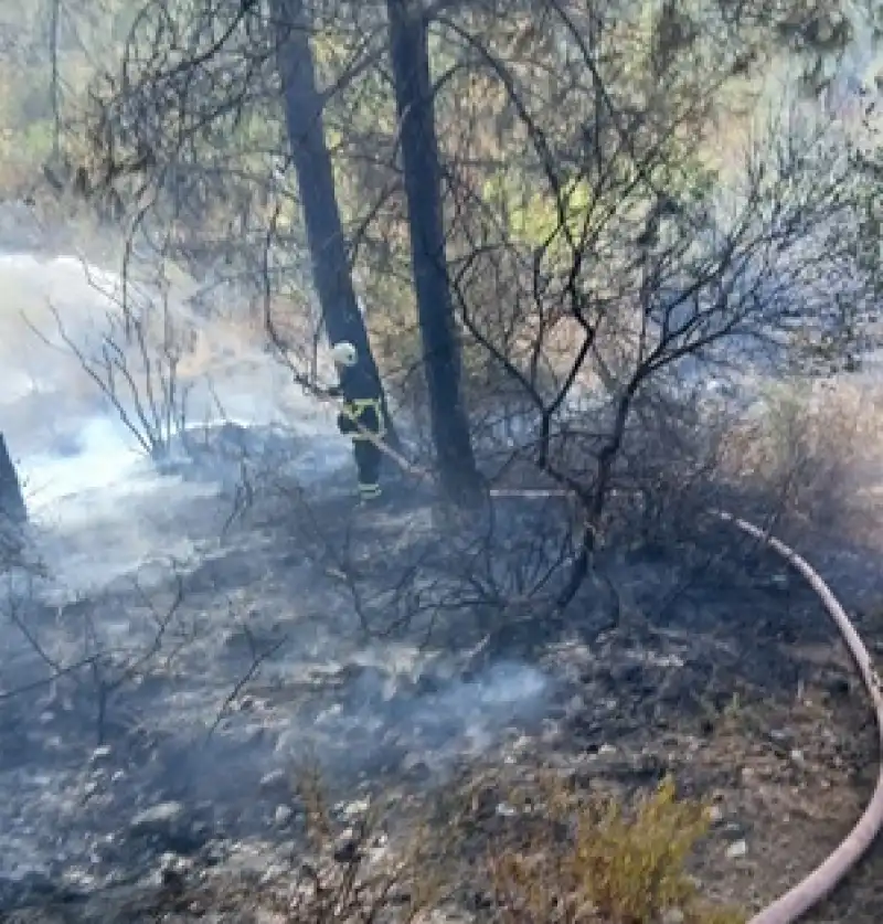 Erzin Ilçesinde çıkan Orman Yangını Söndürüldü