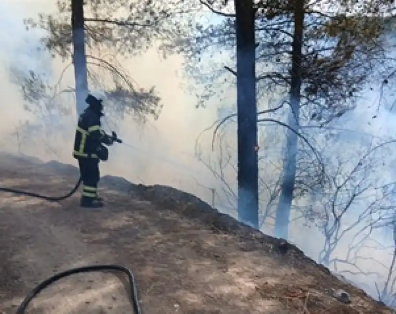 Erzin Ilçesinde çıkan Orman Yangını Söndürüldü