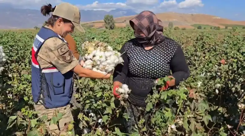 Hatay Jandarması’ndan Pamuk Tarlasında KADES Tanıtımı
