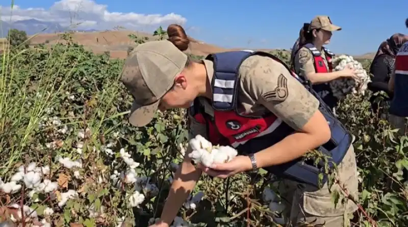 Hatay Jandarması’ndan Pamuk Tarlasında KADES Tanıtımı