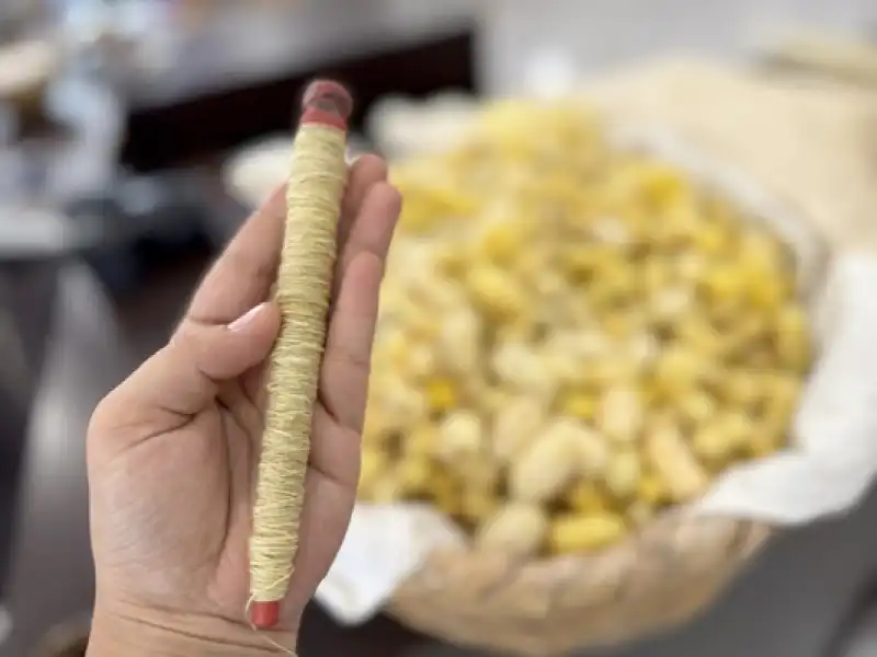 Depremden Kurtardığı Böcek Yumurtalarıyla