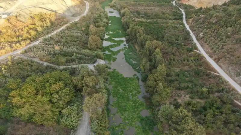 Hatay'da Asi Nehri'ni Yeniden Su Sümbülleri Kapladı