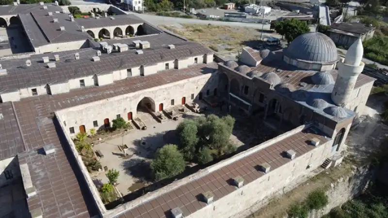 Tarihi Caminin Avlusundaki 1358 Yaşındaki Zeytin Ağacında Hasat Zamanı