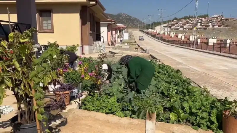 Amanosların Eteklerine 1865 Köy Evi Yapıldı