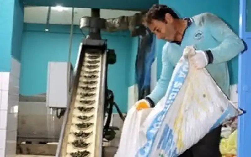 Altınözü’nde Zeytinyağı Sezonu “Vira Bismillah” Diyerek Başladı