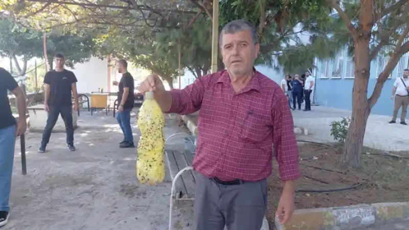 Lise öğrencilerinden Akdeniz Meyve Sineğiyle Mücadele Için Pet şişeli Tuzak