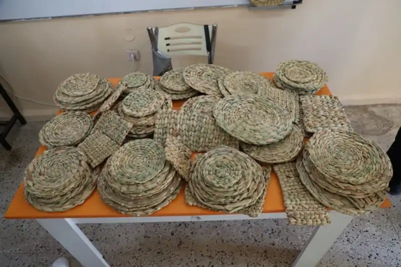 Gölbaşı Gölü’nde Su Sümbülleri Ekonomiye Kazandırılıyor