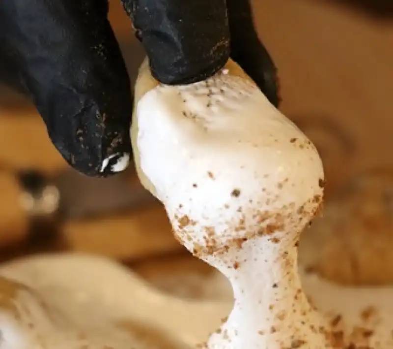 Hatay’ın Meşhur İkilisi Artık Tek Lokmalık!