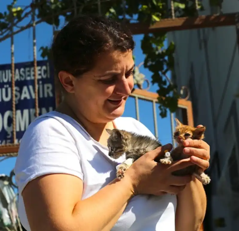 Depremzede Kadın, Sahipsiz Kedilere Kucak Açtı