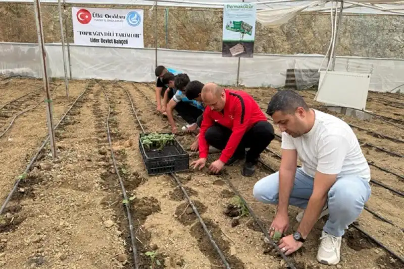 Hatay Ülkü Ocaklarından “Kisecik Permakültür Projesi ”ne Start!