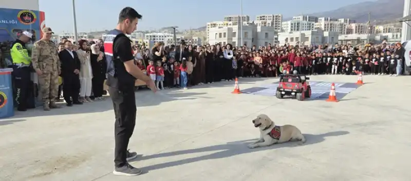 Hatay'da Jandarma Ve öğrenciler Fidan Dikti