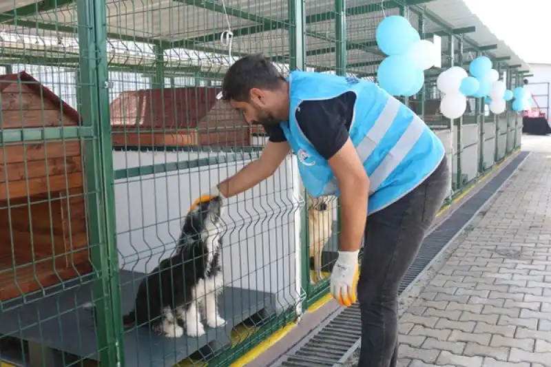 Hatay'da Sokak Hayvanları Bakım Ve Rehabilitasyon Merkezi Hizmete Açıldı