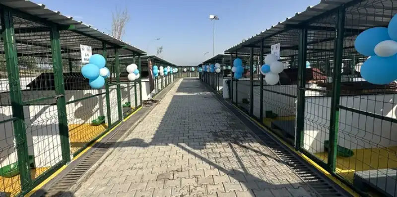 Hatay'da Sokak Hayvanları Bakım Ve Rehabilitasyon Merkezi Hizmete Açıldı