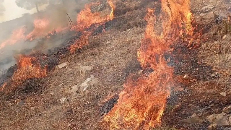 Kısa Sürede Kontrol Altına Alındı