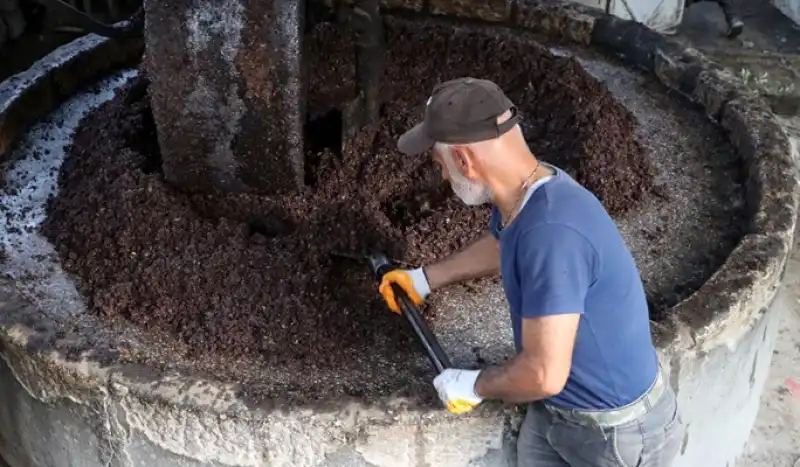 Altınözü’nde Asırlık Gelenek Yaşıyor: Su Zeytin Üretimi Başladı
