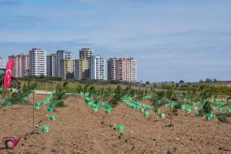 Her Fidan Bir Nefes: Türkiye 11 Kasım’da Doğayla Buluşuyor