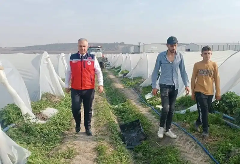 Samandağ Biberi’nde Örtü Altı Zamanı!
