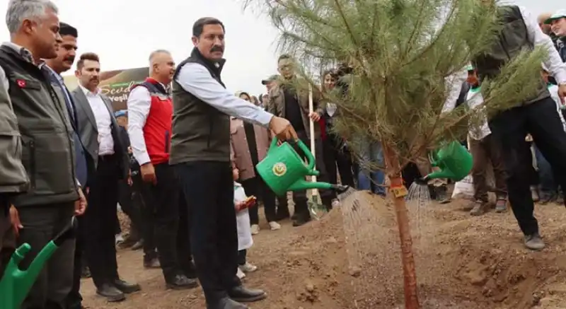 Hatay Valisiyle Ormanlarımız Yeniden Diriliyor