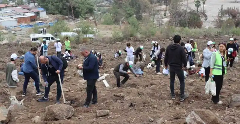 Hatay Valisiyle Ormanlarımız Yeniden Diriliyor