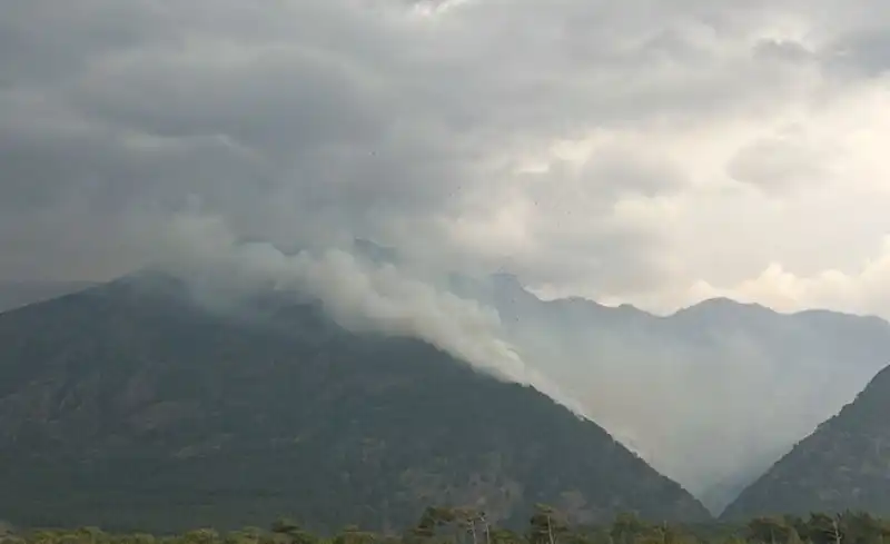 Hatay'da 2 Farklı Noktada çıkan Orman Yangını Kontrol Altına Alındı