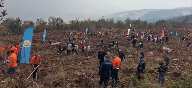 Hatay Tabiatı Koruma Derneği’nden Ağaçlandırma Gününe Anlamlı Katkı