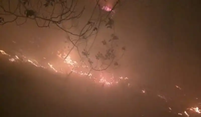 Hatay'da Ormanlık Alanda Yangın çıktı