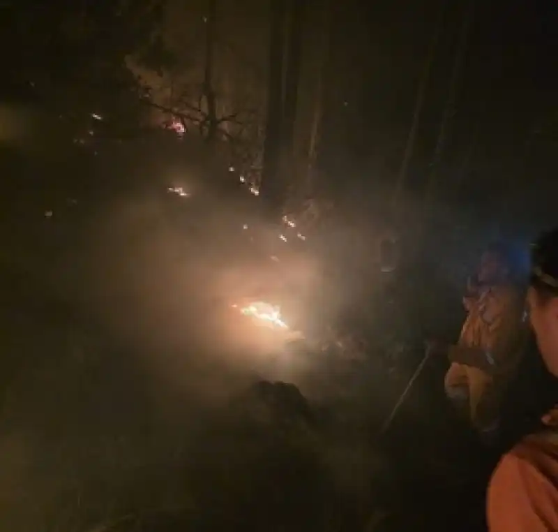 Hatay'da Ormanlık Alanda Yangın çıktı