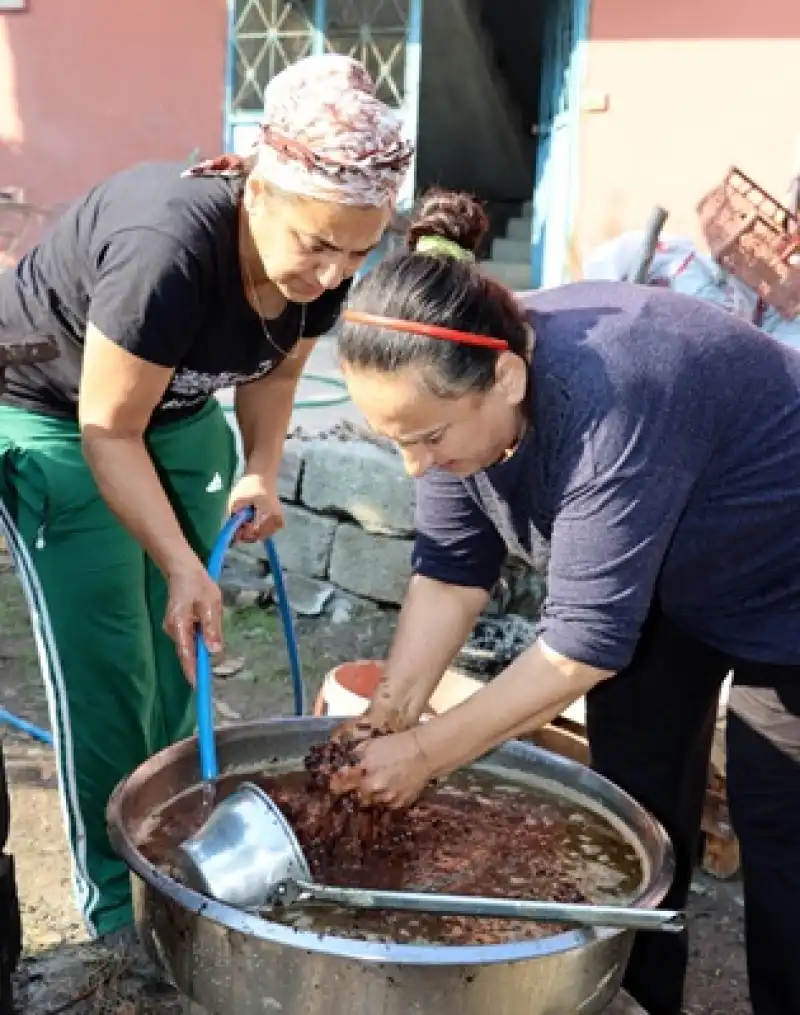 Hatay’ın Bereketli Topraklarında Geleneksel Defne Yağı Üretimi Sürüyor