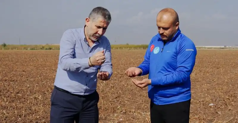 Ülkü Ocakları Hatay İl Başkanlığı, Ata Tohumu Buğdaylarını Toprakla Buluşturdu