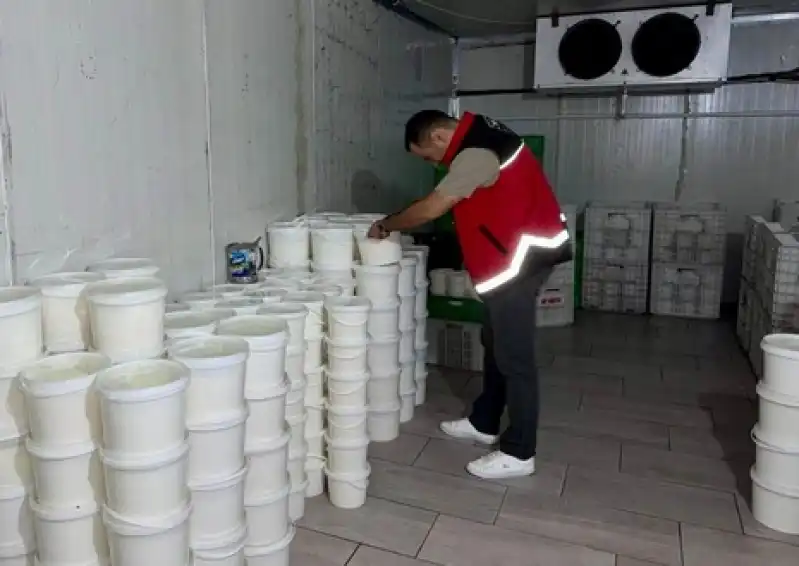 Hatay'da Gıda Güvenliğini Tehdit Eden Peynir Ve Yoğurt Imha Edildi
