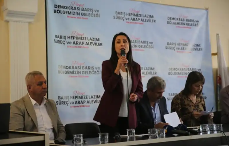 DEM Parti Eş Genel Başkanı Tülay Hatimoğulları, Hatay'da Düzenlenen Panelde Konuştu: